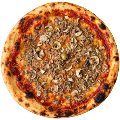 pizza sa tunom